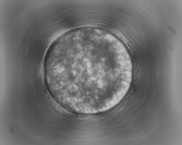 X0000115411072200912151536