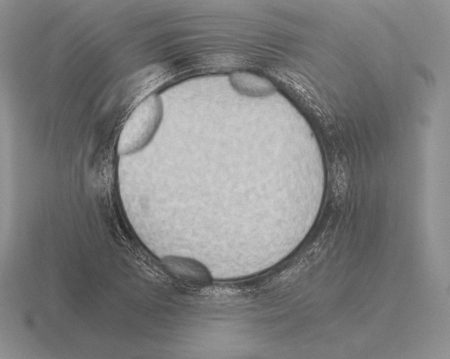 X0000115411073200912151536