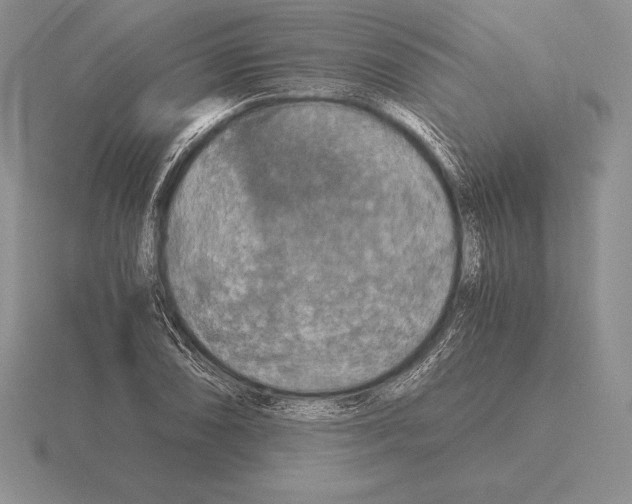 X0000115411074200912151536