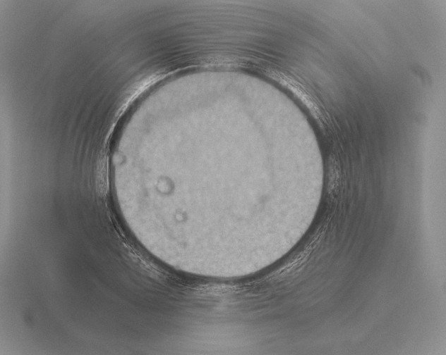 X0000115411075200912151536