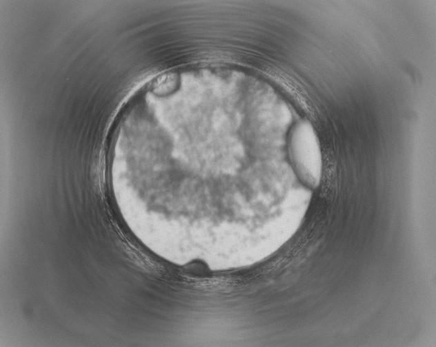 X0000115411076200912151536