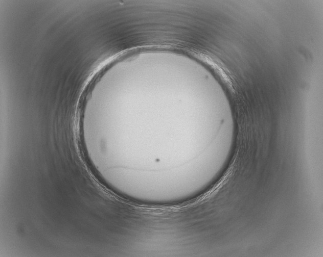 X0000115411077200912151536