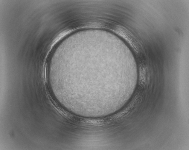 X0000115411078200912151536