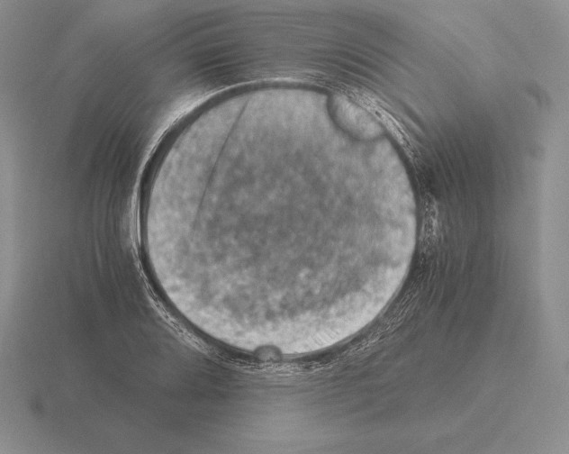 X0000115411080200912151536