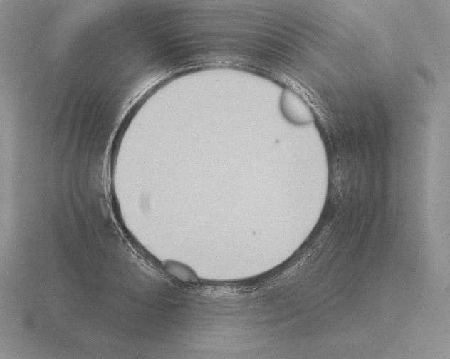 X0000115411082200912151536