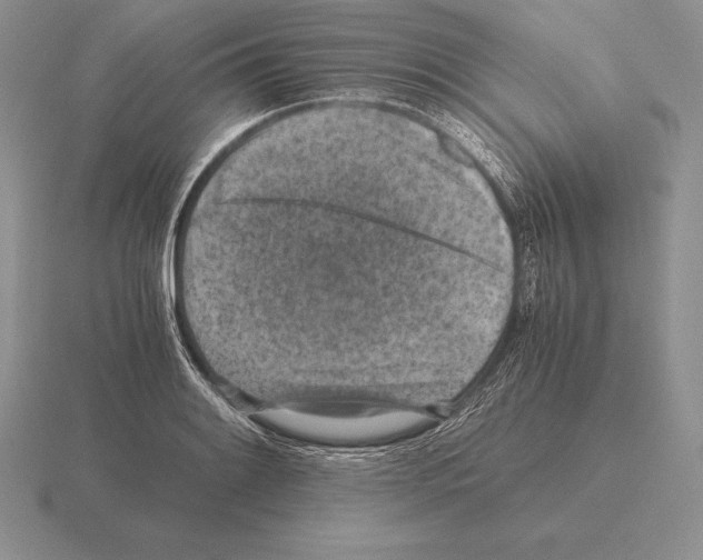 X0000115411084200912151536