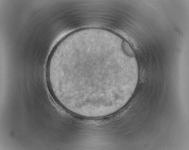 X0000115411086200912151536