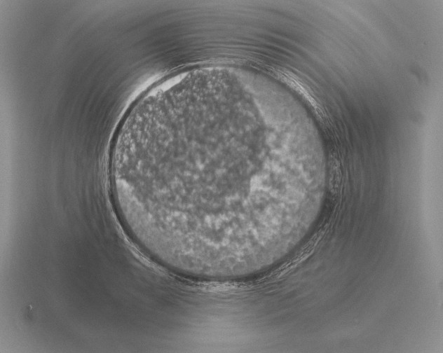 X0000115411087200912151536