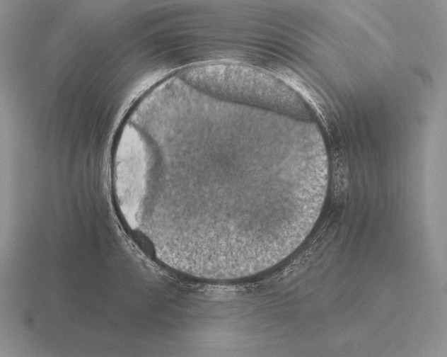 X0000115411088200912151536