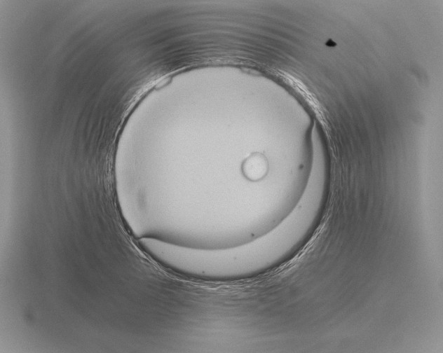 X0000115411089200912151536