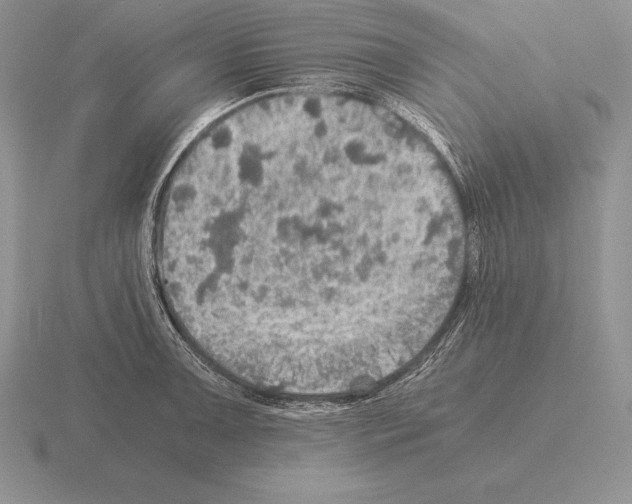 X0000115411091200912151536