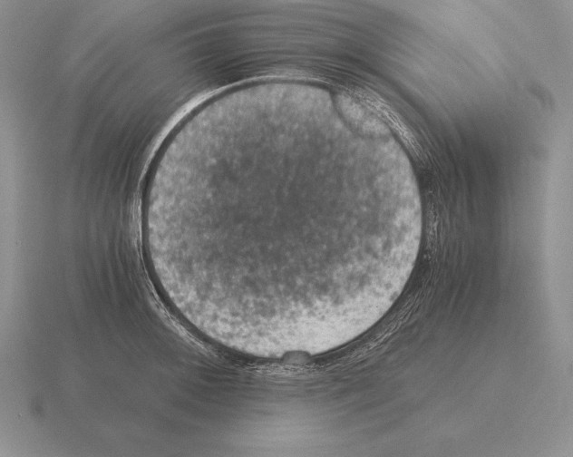 X0000115411092200912151536