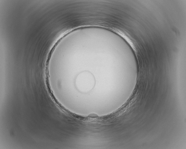 X0000115411093200912151536