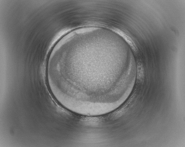 X0000115411094200912151536