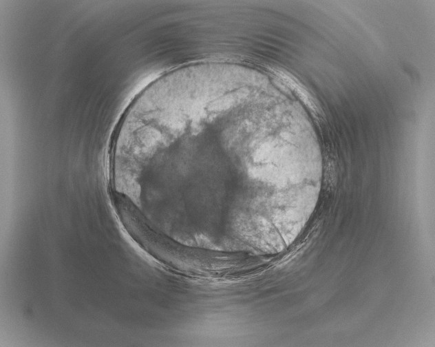 X0000115411095200912151536