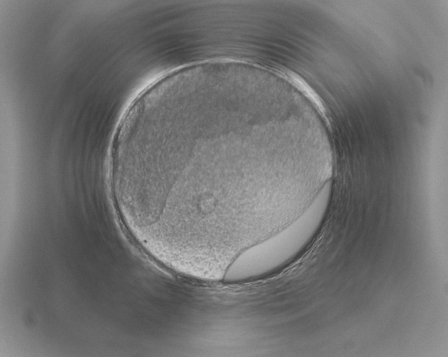 X0000115411096200912151536