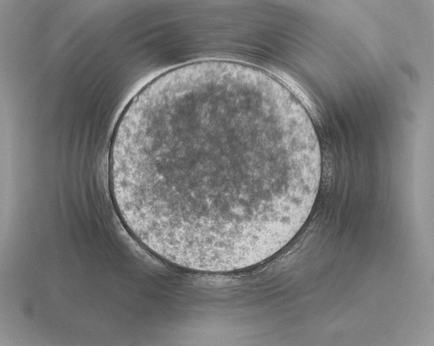 X0000115411100200912151536