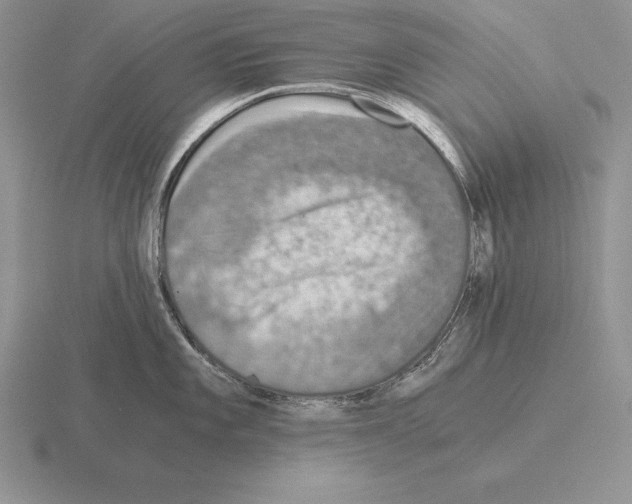 X0000115411101200912151536