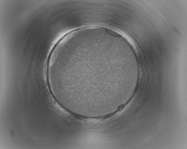 X0000115411102200912151536