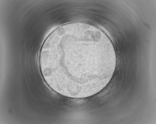 X0000115411103200912151536