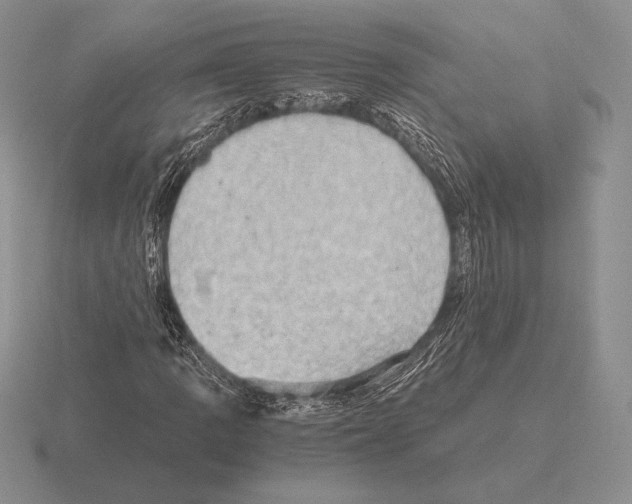 X0000115411109200912151535