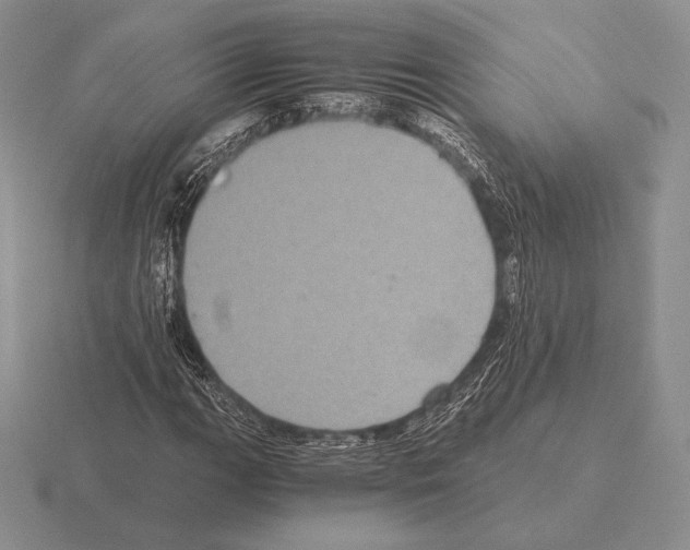 X0000115411111200912151535