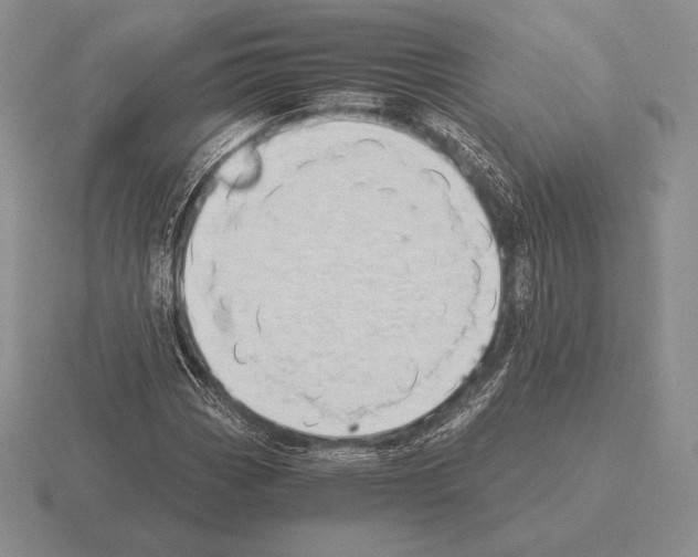 X0000115411113200912151535