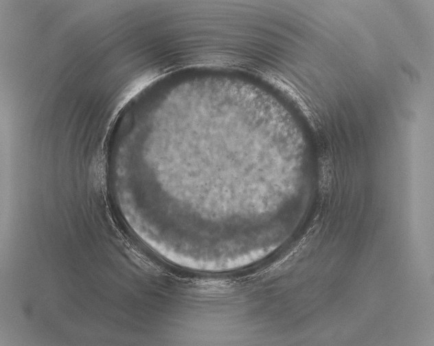 X0000115411114200912151535