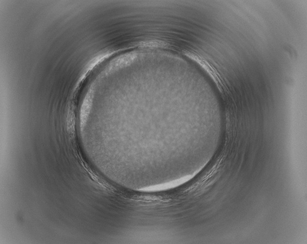 X0000115411115200912151535