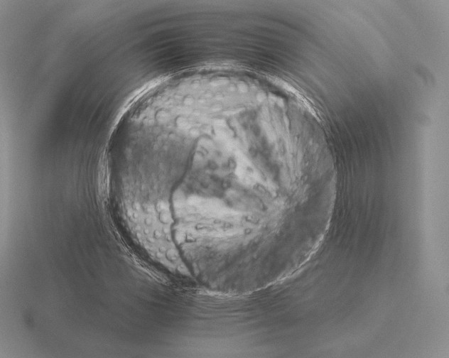 X0000115411117200912151535