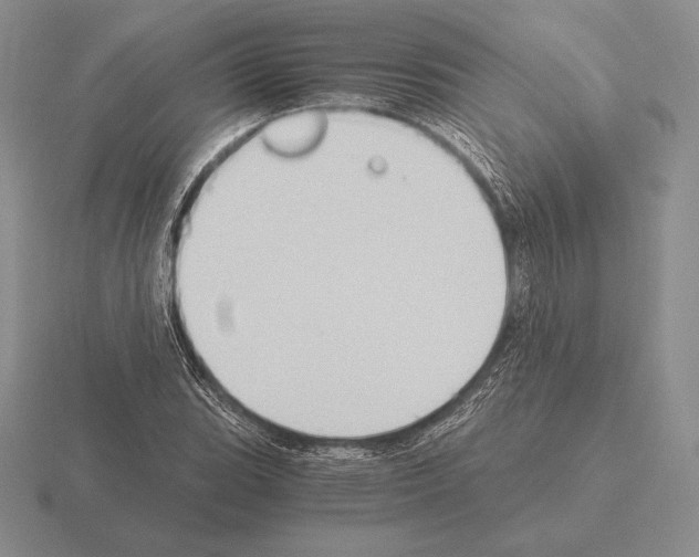 X0000115411119200912151535