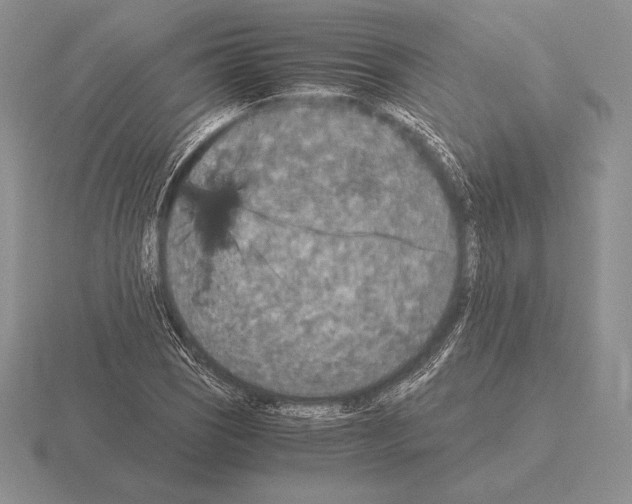 X0000115411121200912151535