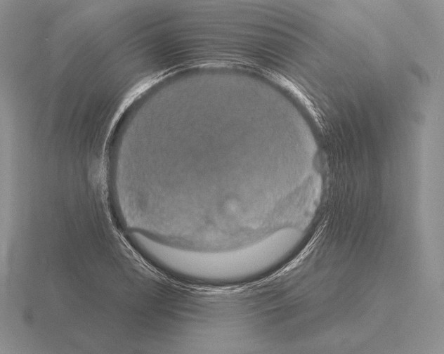 X0000115411122200912151535