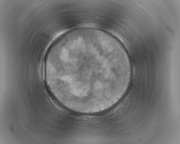 X0000115411123200912151535