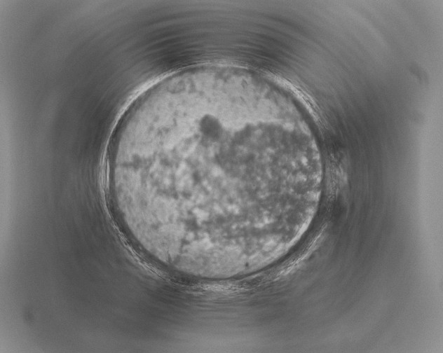 X0000115411125200912151536