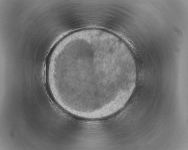 X0000115411126200912151536