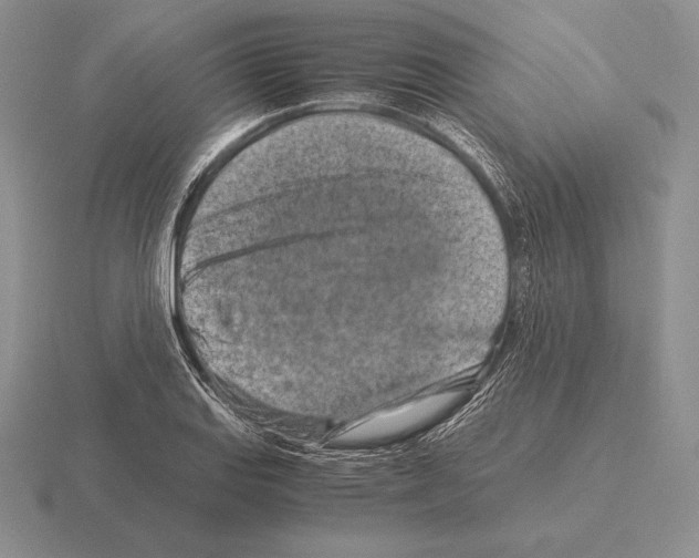 X0000115411127200912151536