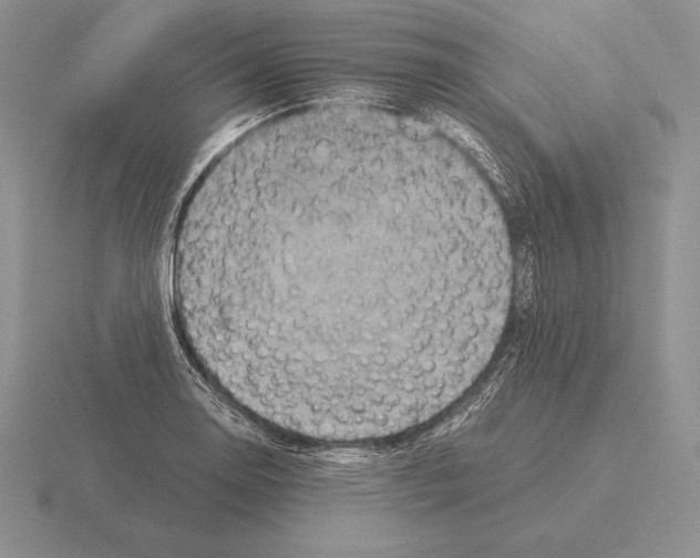 X0000115411130200912151536