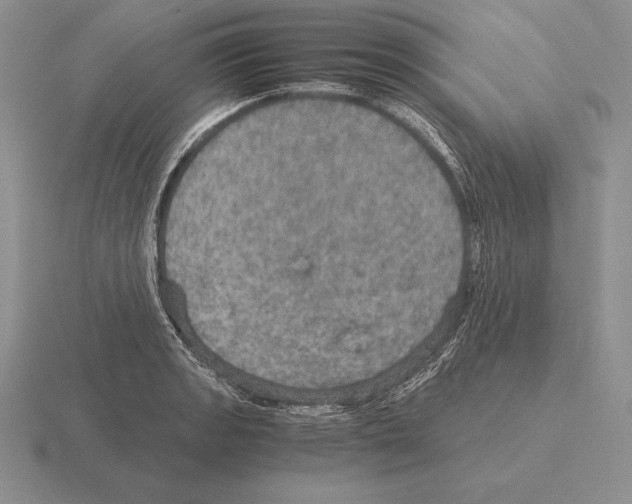 X0000115411133200912151536