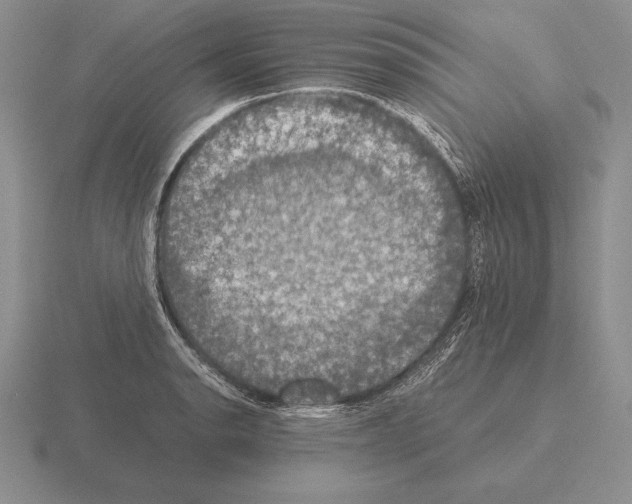 X0000115411134200912151536