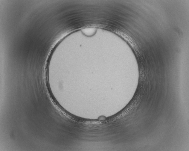 X0000115411135200912151536