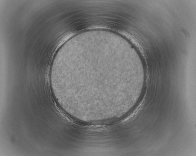 X0000115411137200912151536