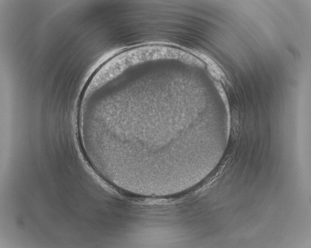 X0000115411142200912151536