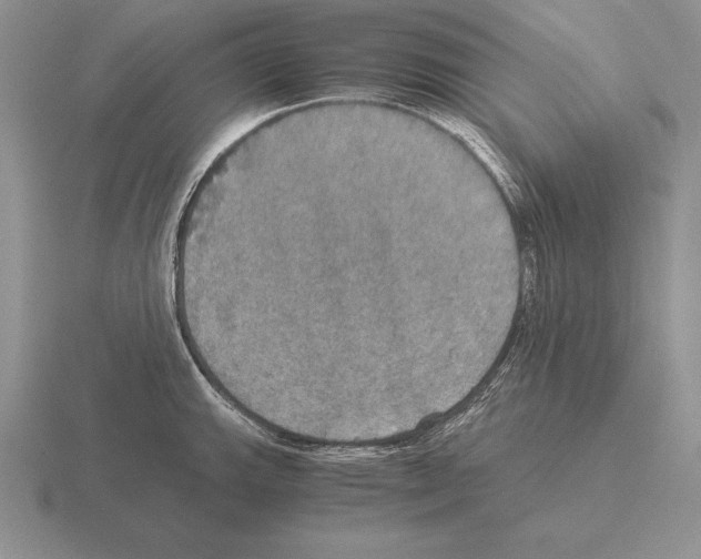 X0000115411143200912151536