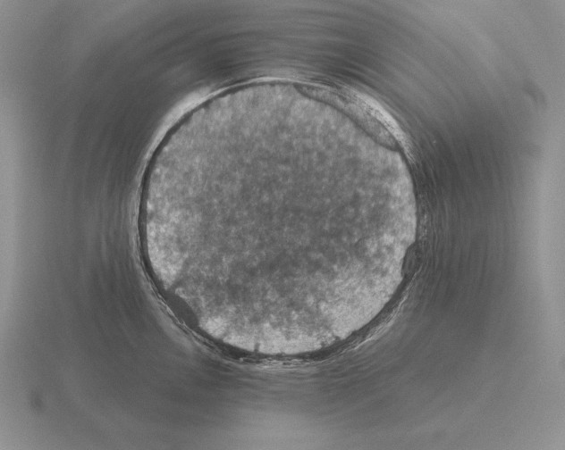 X0000115411146200912151536