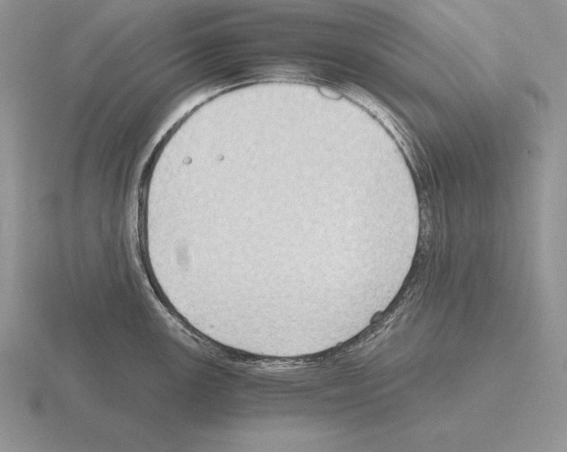 X0000115411147200912151536