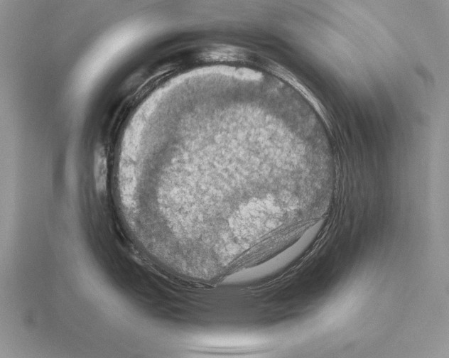 X0000115411151200912151536