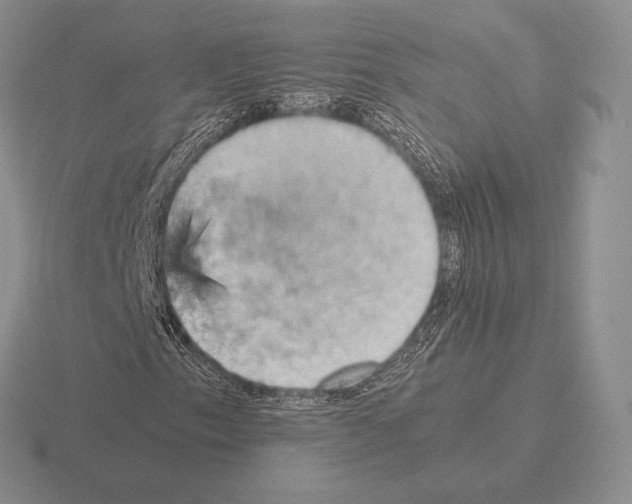 X0000115411153200912151535