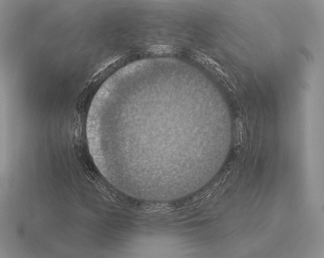 X0000115411158200912151535