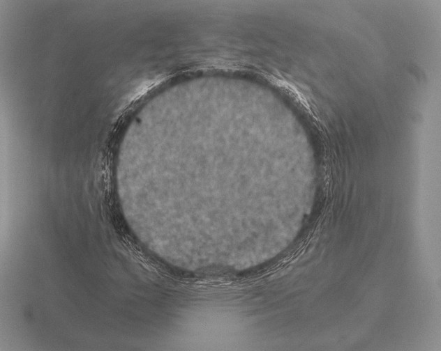 X0000115411159200912151535